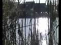 Lake Placida