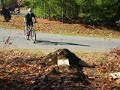 Craig stinks at Biking Craig stinks at Biking