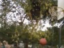 Paulinho - Basquete