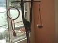 Adventure 7: Shadey, the Cocnut Swing and Peanuts