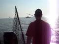 oliviafishing2008