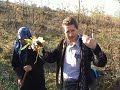 Şifalı otların toplanması