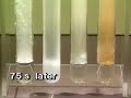 Reaction of Sodium with Acid