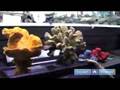 How to Set Up Aquariums : Decorating Freshwater Aquariums with Themes