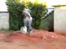 V�deo cassetada