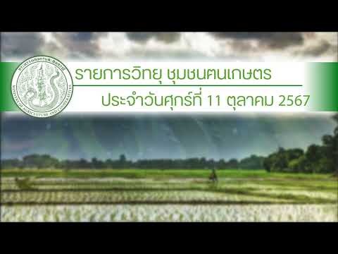 รายการวิทยุชุมชนฅนเกษตร ประจำวันที่ 11 ตุลาคม 2567