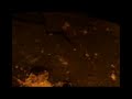 Another jenkem aftermath