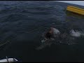 wtf banana hardcore wtf banana hardcore