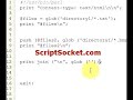 Perl Tutorial 30 - Glob Function