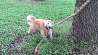 Hazel and Our Climbing Rope
