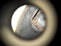Flip Mino Test With Fixed Microscope Eyepiece