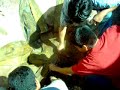 Barbacoa mmmmmmm!!! Barbacoa mmmmmmm!!!