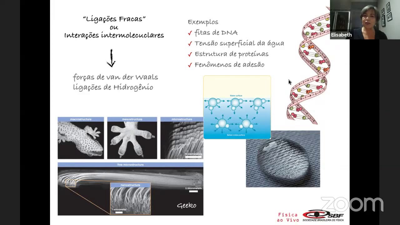 A Física da Meleca - Professora Elisabeth Andreoli