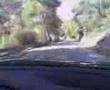 Jaume Pantano Foix Ford Mondeo V6
