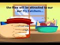 Instructional Video \"How to catch fruit Flies\"