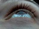 Occipital (2002) Occipital (2002)