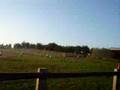 Tarc-StoneHenge