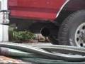 Ford Powerstroke Turbo Diesel