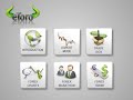 Forex Software