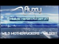 Minimix Hardstyle 2011 #7 (mixed by FluxY)