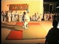 allaraj-taekwondo demonstration