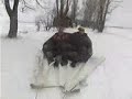 Team Luppa WinterJackass