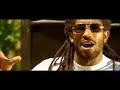 PUYA-Newton