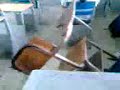 banco fantasma   prepa escandon