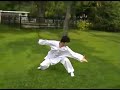 Ba Gua Zhang Swimming Dragon