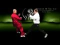 Wing Chun Kung Fu (sil lim tao Av) Master Wong System
