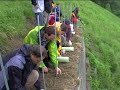 Reben pflanzen im Weingut Stegler - Teil 2 Reben pflanzen im Weingut Stegler - Teil 2