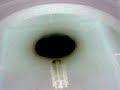 aparecem vitrais, alguns passos, respiração...seriam ilusões??descendo até a cripta..então...