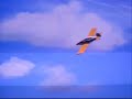 TURBO-THRUSH-CESAR-A