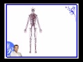 Tratamientos Est�ticos - part 1