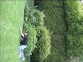 Gun-Fun-2