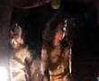 Future Pigeon The Mummy video by Steve hanft
