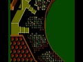 one innings of international cricket from nes