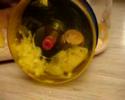 Baby Hamster, Fluffarella Being Chased By Its Bedding Baby Hamster, Fluffarella Being Chased By Its Bedding