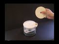 Peelz amazing way to hold DVD/CD