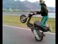 aprilia leonardo 300cc malossi 4t