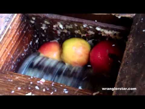Cider - Follow Wranglerstar on Facebook for exclusive videos, pictures, & updates. http://www.facebook.com/pages/Wranglerstar/453208754723615 I have finally located ...