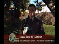 Bird takes a shit on reporter Bird takes a shit on reporter