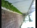 bachilleres jardin (segunda etapa)