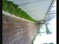 videos de bachilleres jardin (segunda etapa)
