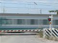 Un caimano sfreccia al passaggio a livello,titolare dell'intercity notte