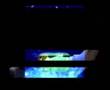 Robert Anton Wilson 6 - Coincidence and Synchronicity