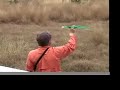 Quail Hunting in South Texas
