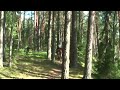Med hästarna vid Võhandu å