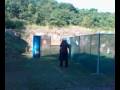 videos de IPSC Honduras Ernesto Hung