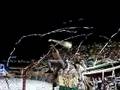 El caRnAvAL auriVERde